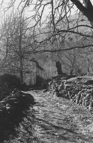 film photography, path