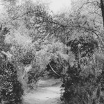 île de porquerolles