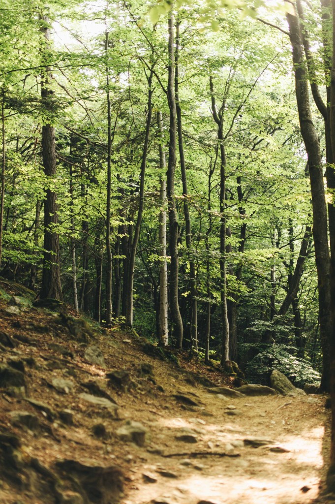 pian cervetto, valsusa
