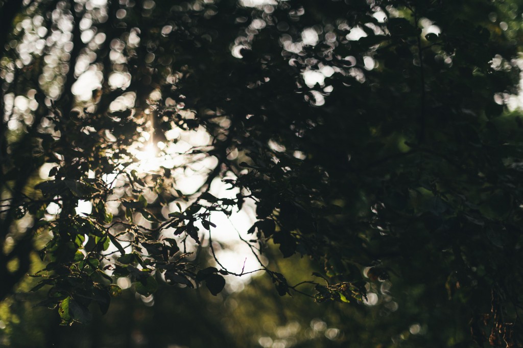 pian cervetto, valsusa
