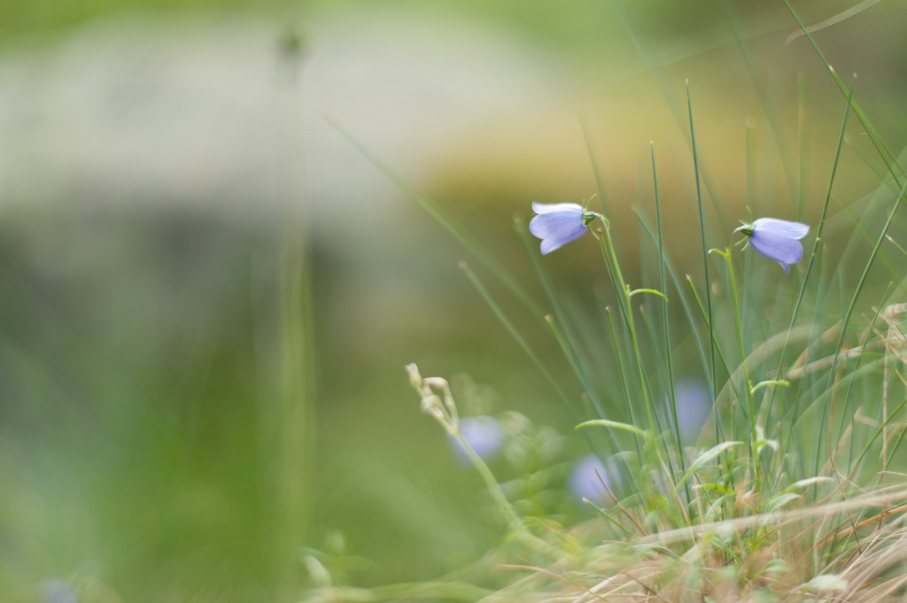 rifugio geat, valsusa