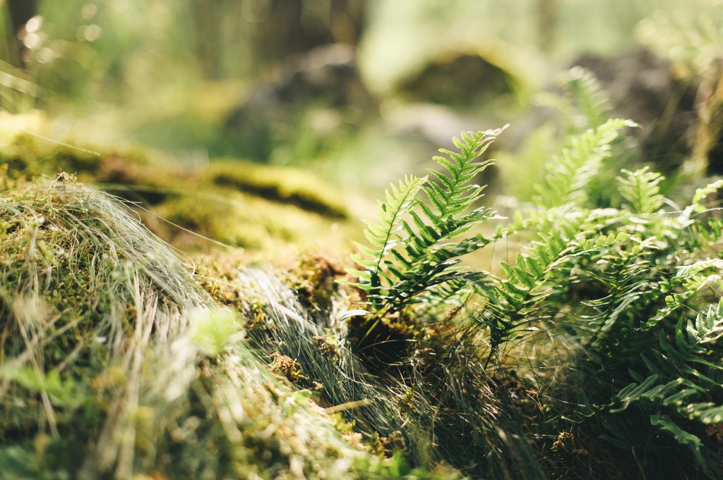 rifugio geat, valsusa