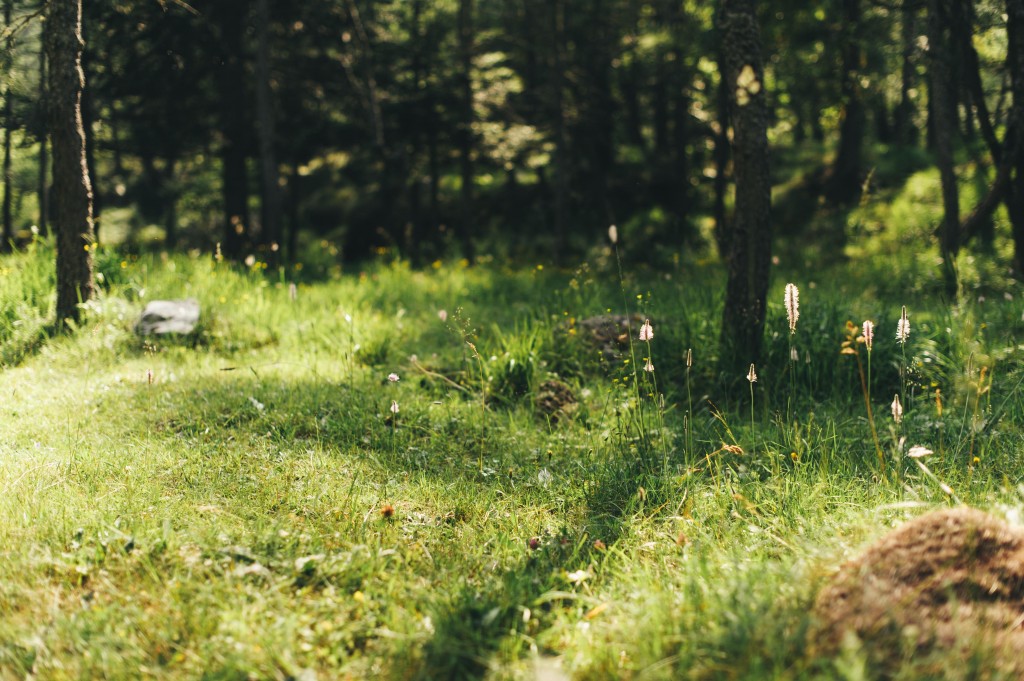 rifugio geat, valsusa