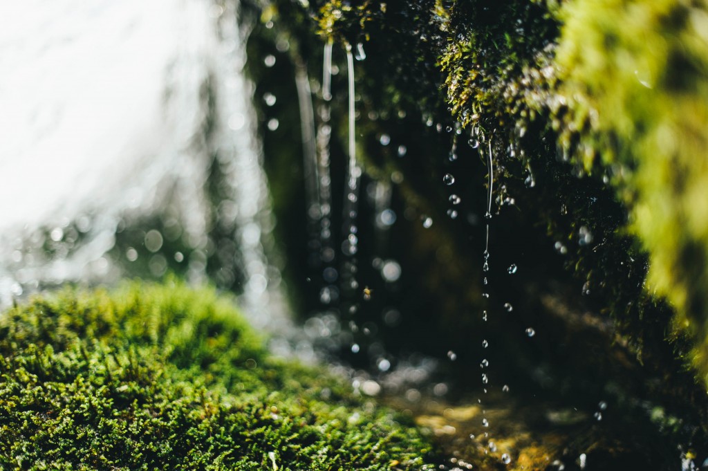 rifugio geat, valsusa