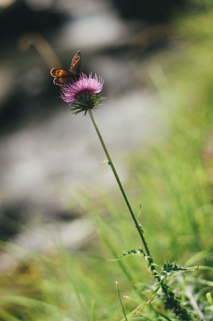 rifugio geat, valsusa