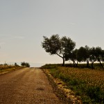 road in provence