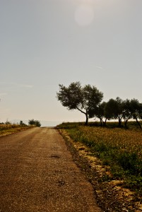 road in provence