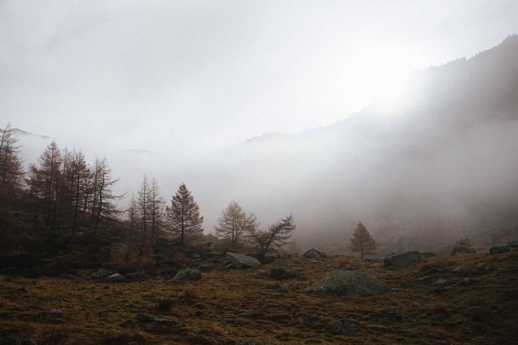 Nebbie nel Vallone del Gravio, Parco Naturale Orsiera Rocciavrè