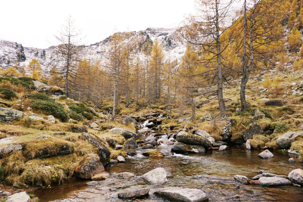 Il torrente Gravio in autunno, scendendo dal Lago Rosso