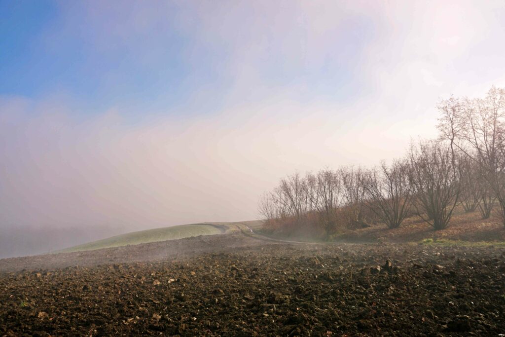 Campi avvolti nella nebbia