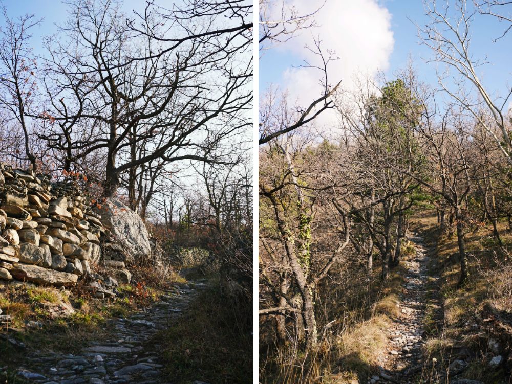 Sentieri, escursione in Bassa Valle di Susa