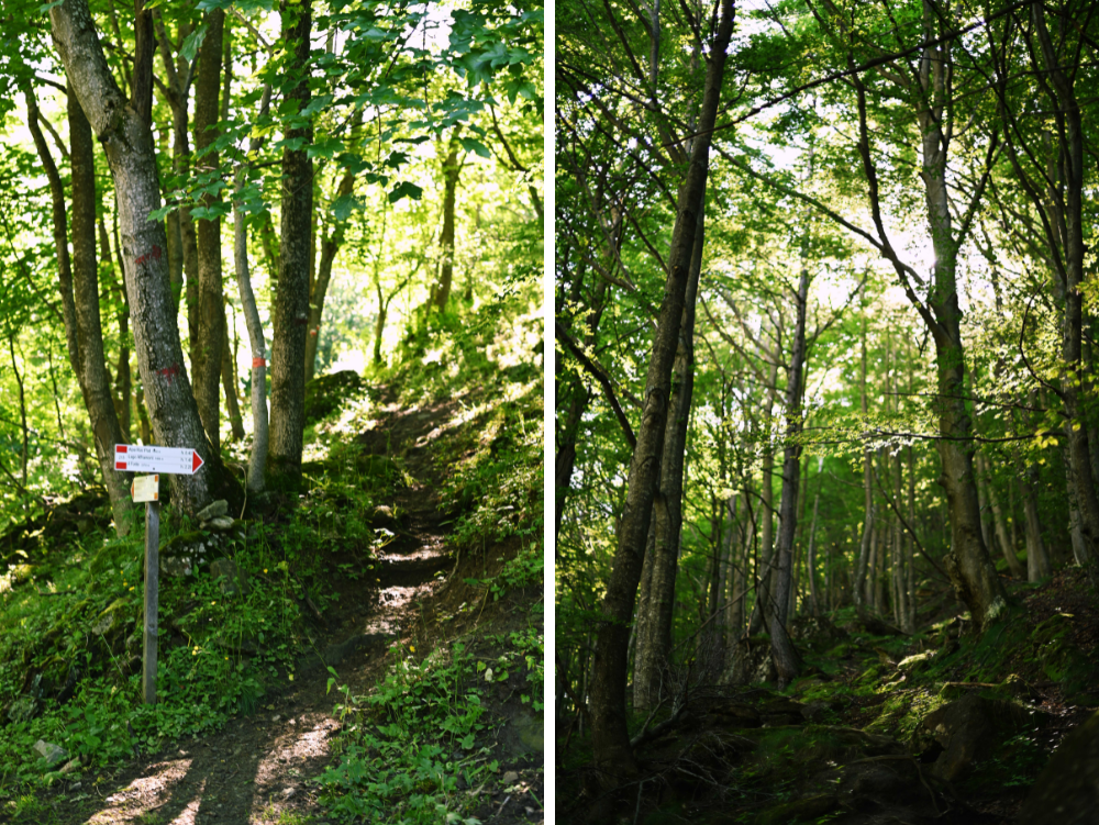 Il sentiero nel bosco per il lago Afframont