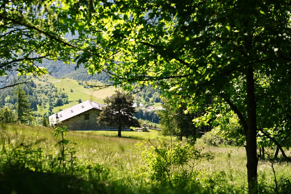 Casa rurale alpina