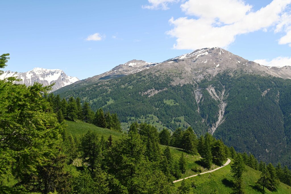 Panorama sul Seguret