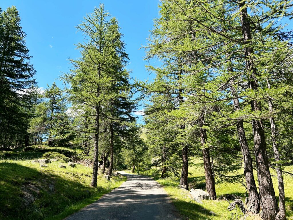 In bici in Valle della Clarée