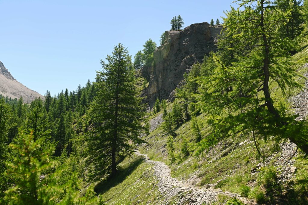 Sentiero verso il Col des Ailes