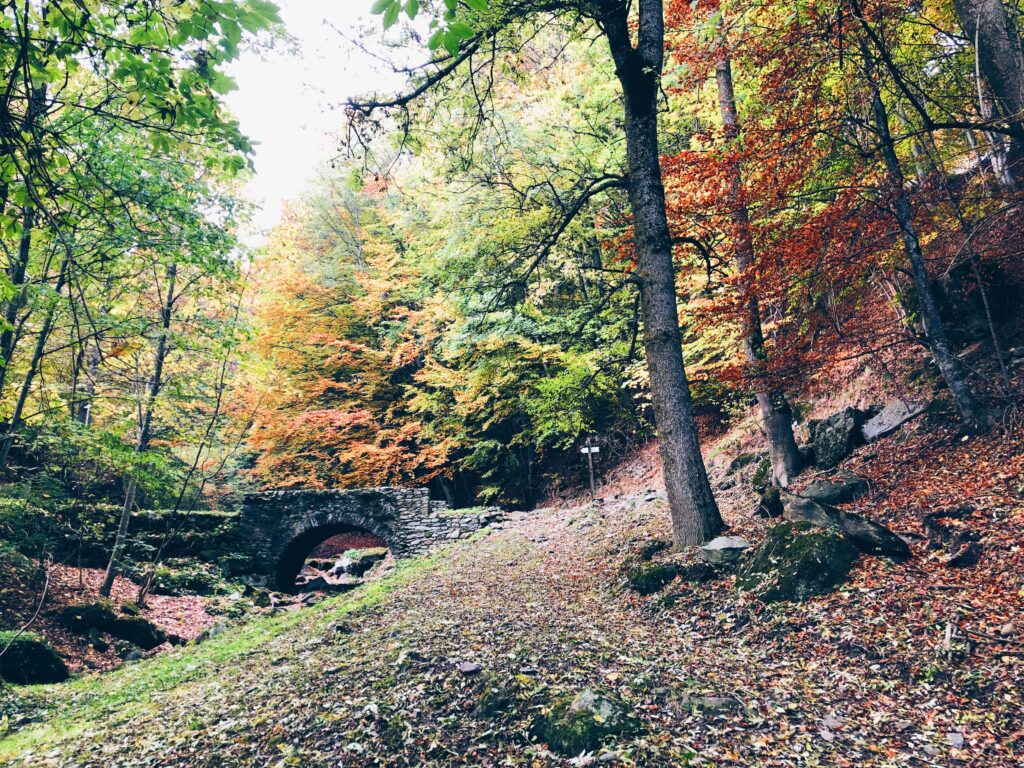 Escursioni d'autunno - Certosa di Montebenedetto