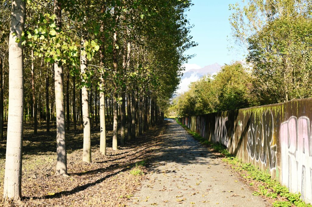 La Ciclovia Francigena tra Sant'Ambrogio e Avigliana