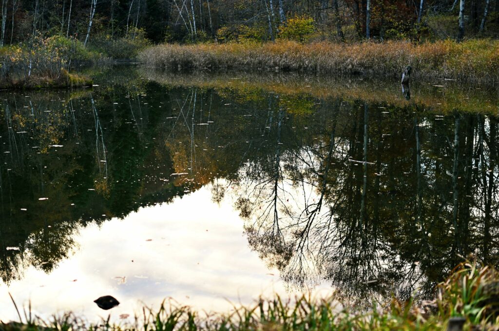 Lago del Paradiso delle Rane, Valle di Susa