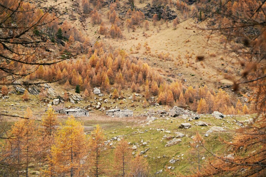 Alpe Mustione in autunno, Vallone del Gravio, Valle di Susa