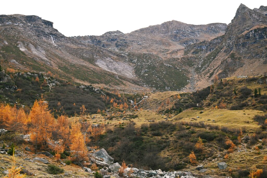 Giro dei Tre Rifugi in Valle di Susa, vallone del Rio Gerardo