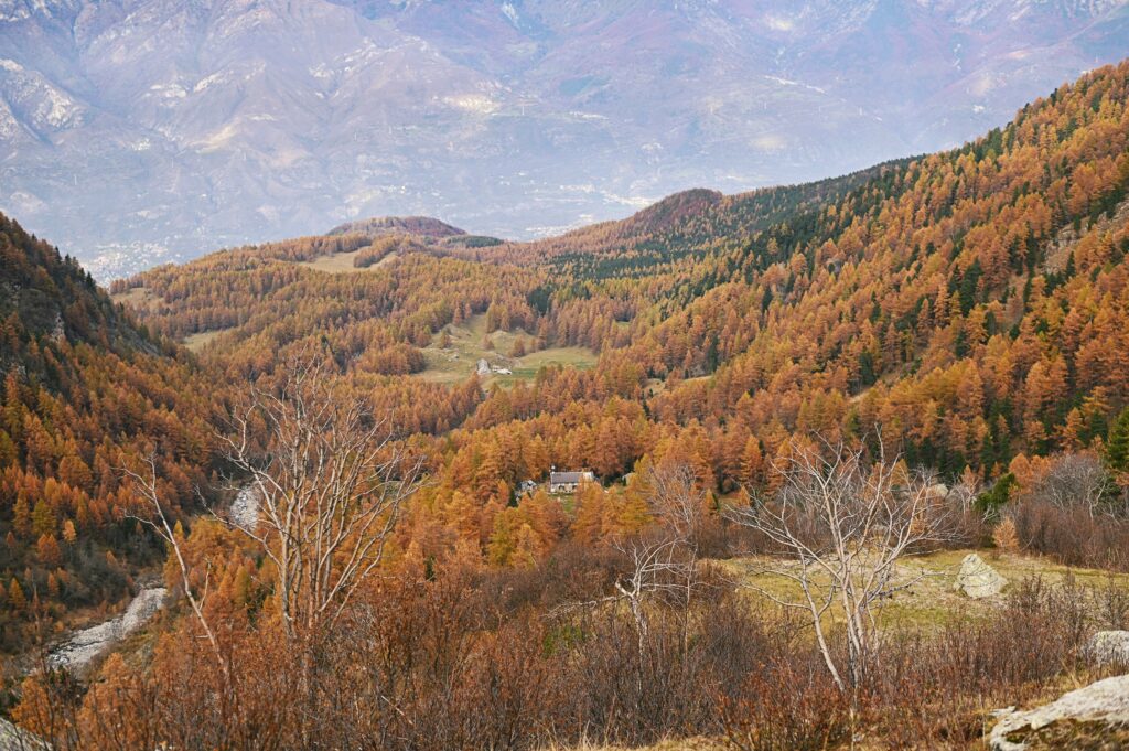 Il Vallone del Rio Gerardo e il rifugio Toesca, Giro dei Tre Rifugi in Valle di Susa