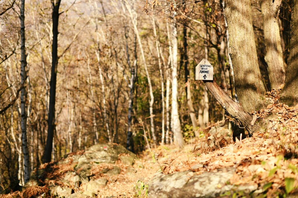 Sentiero delle Anime in Valchiusella