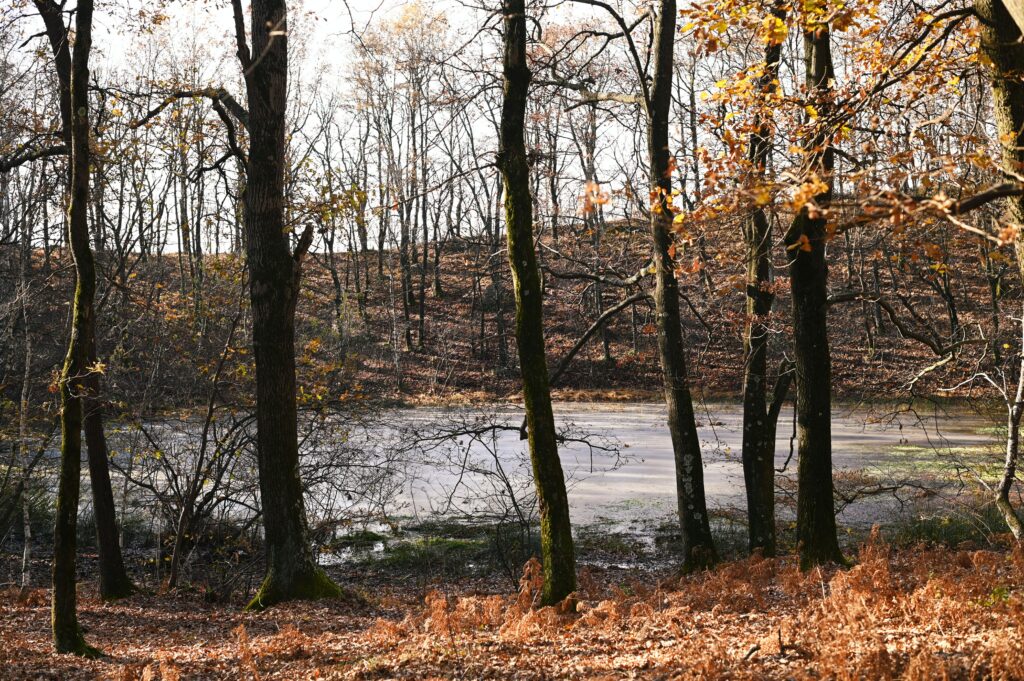 Laghetto intramorenico sulla Serra d'Ivrea