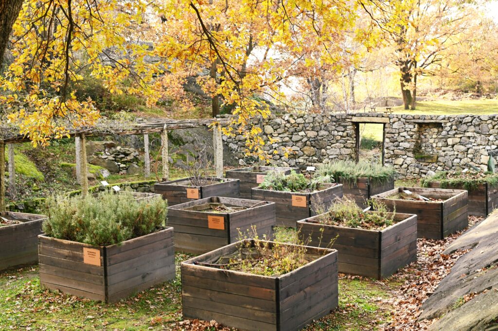 Il giardino botanico nei pressi della chiesa di Santo Stefano Sessano a Chiaverano