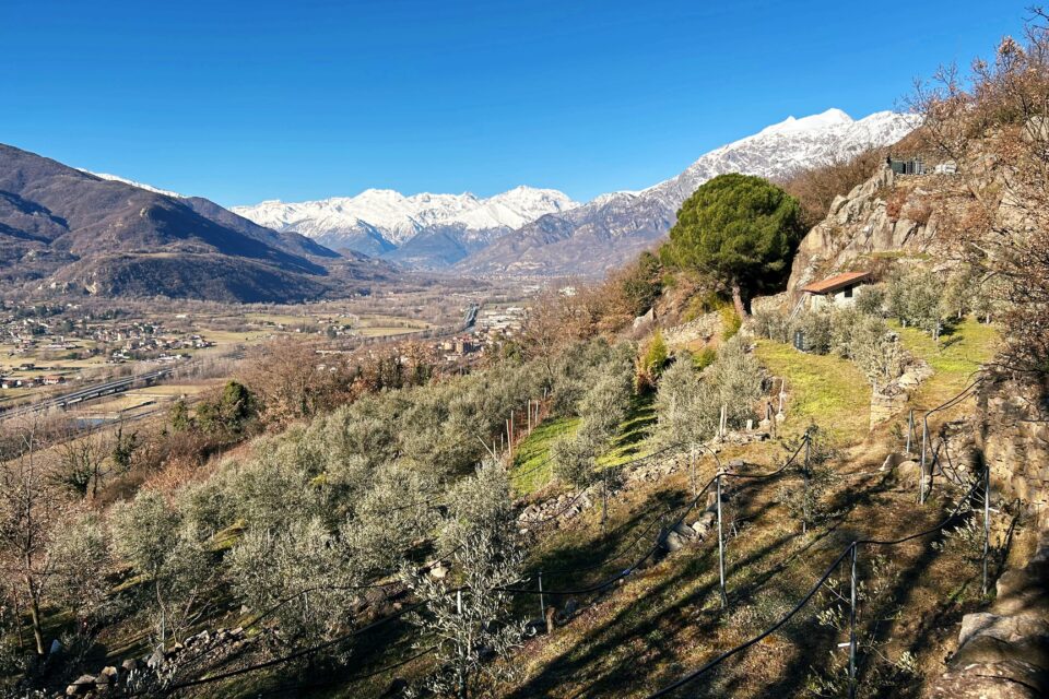 I sentieri di Borgone, escursioni tra rocce e olivi