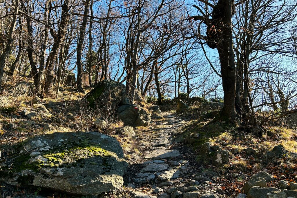 Sentiero a Borgone, Valsusa