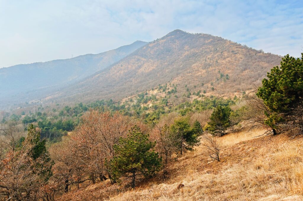 La dorsale nord-est dal Monte Calvo