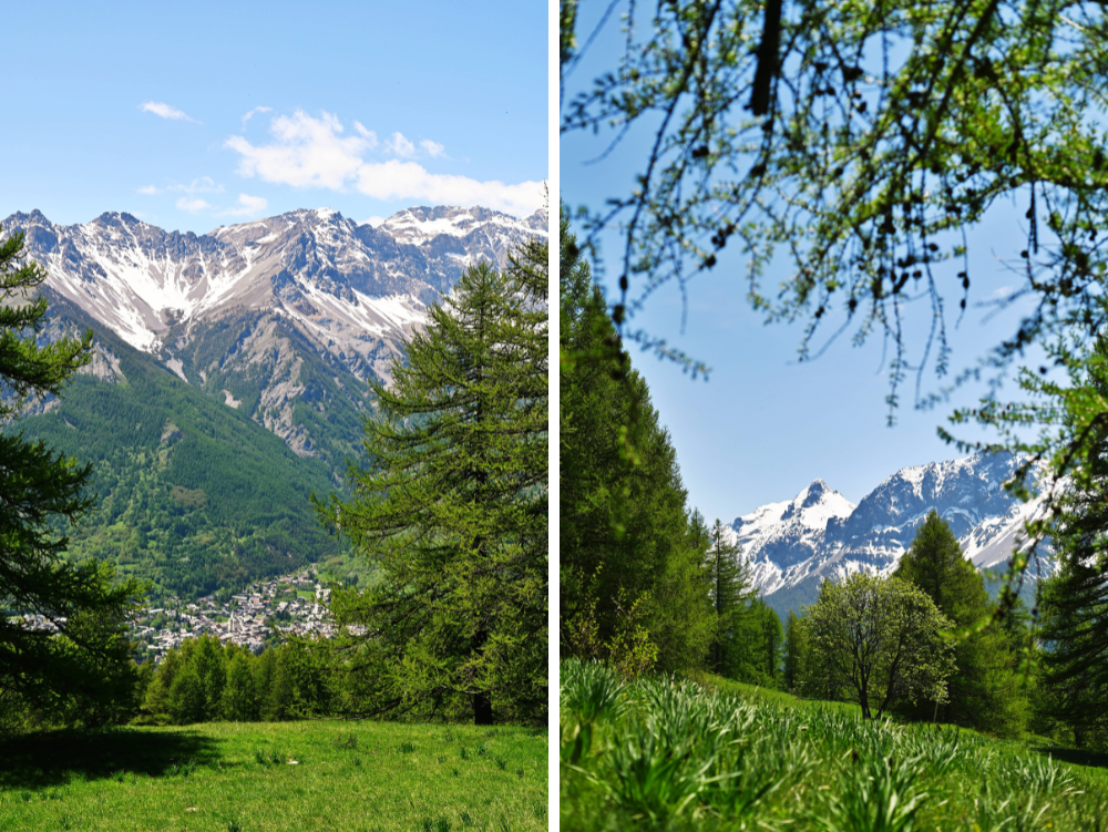 Panorama sulle montagne delle Conca di Bardonecchia dal Sentiero di Gran Bea