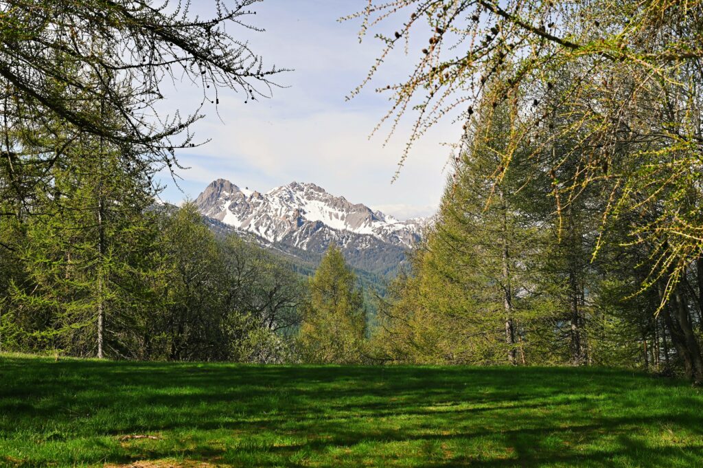 Panorama dai Bacini Frejusia