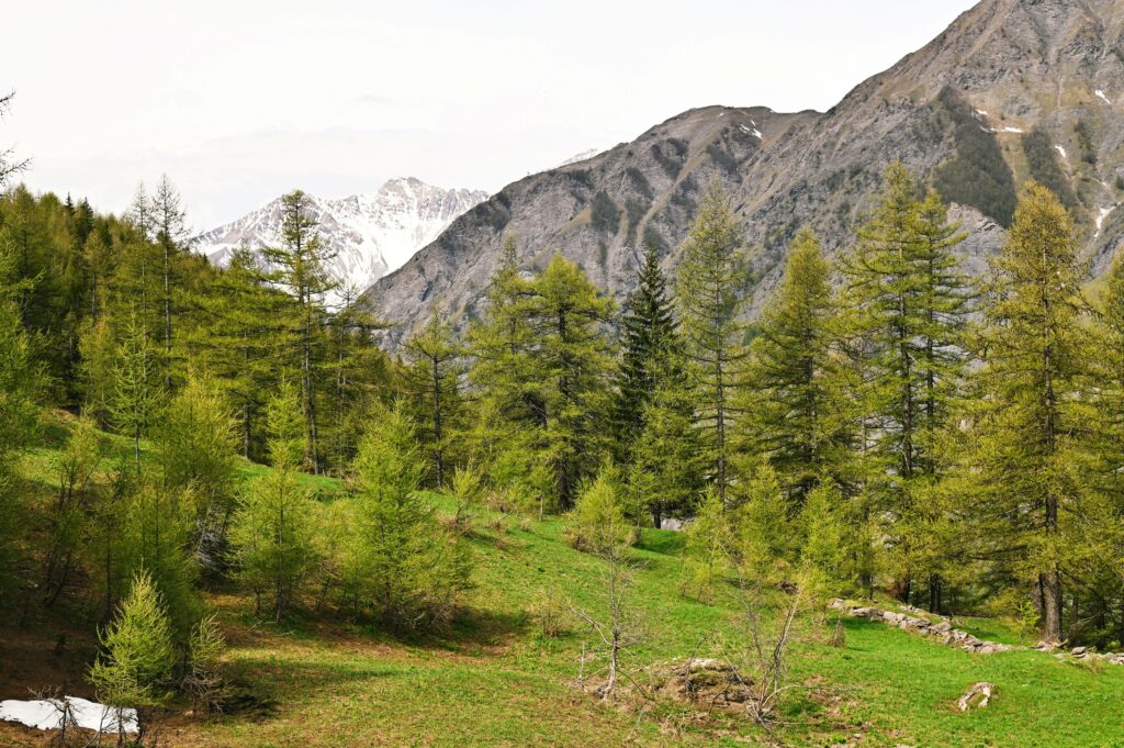 Grange Mouchecuite nella Valle di Rochemolles