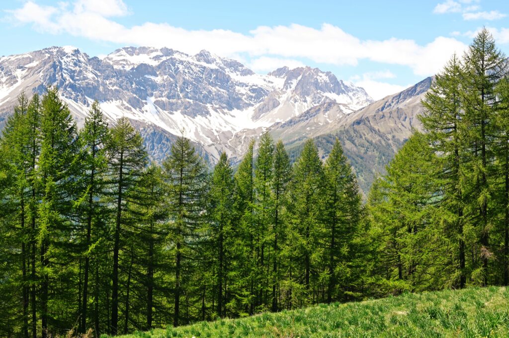 Panorama sulle montagne delle Conca di Bardonecchia dal Sentiero di Gran Bea