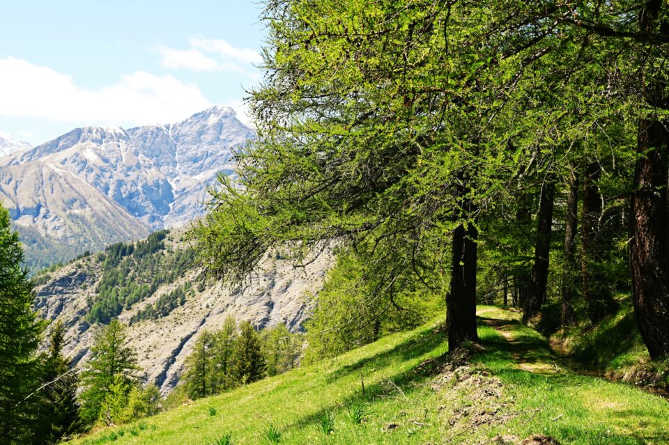Il Sentiero di Gran Bea a Bardonecchia, alta Valle di Susa