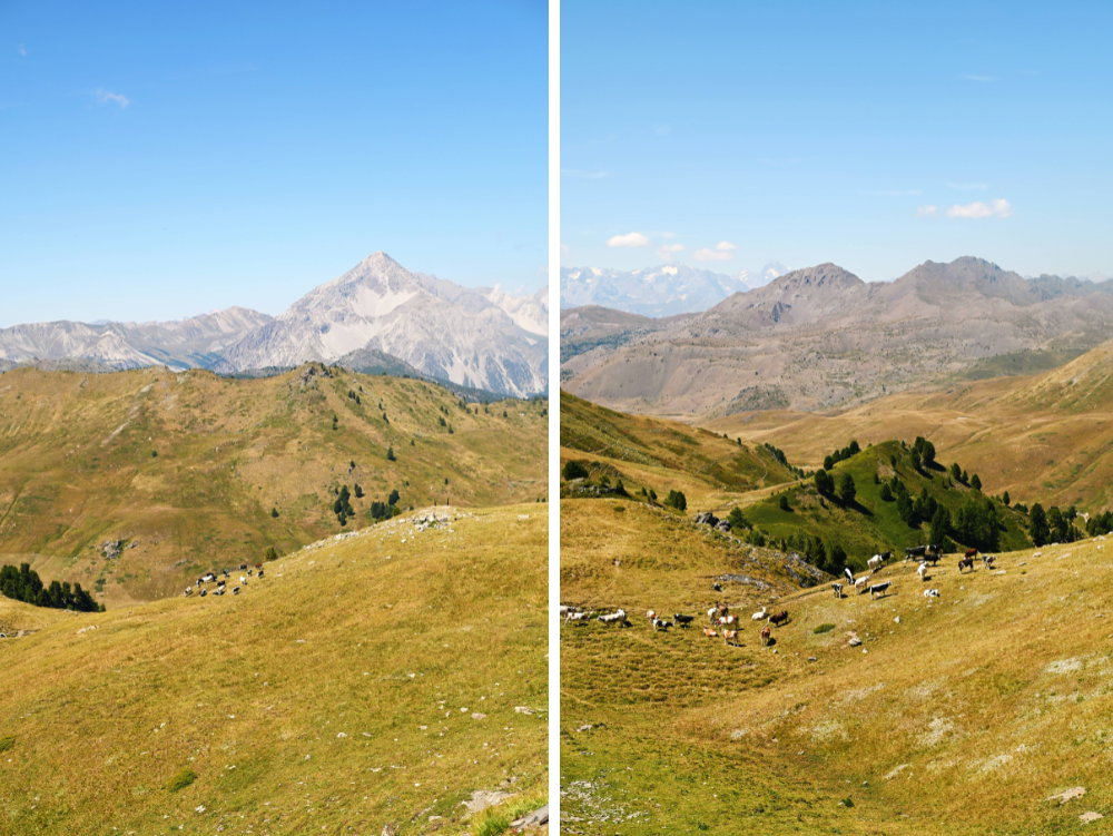 Panorama verso il Col Chabaud e la Francia