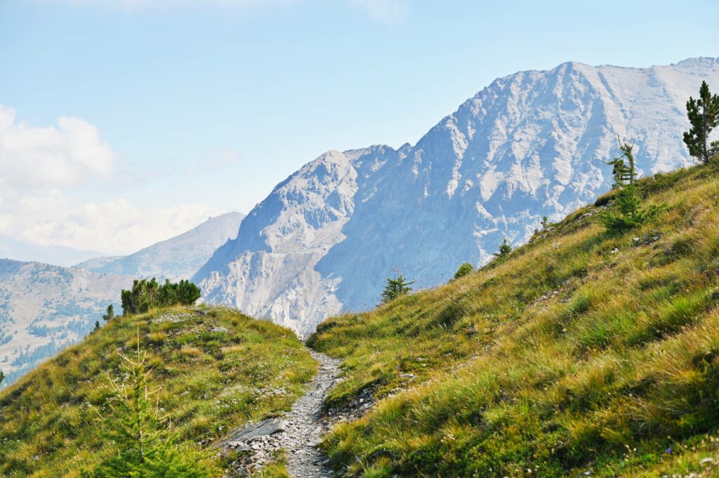 Sentiero di salita al monte Giassiez