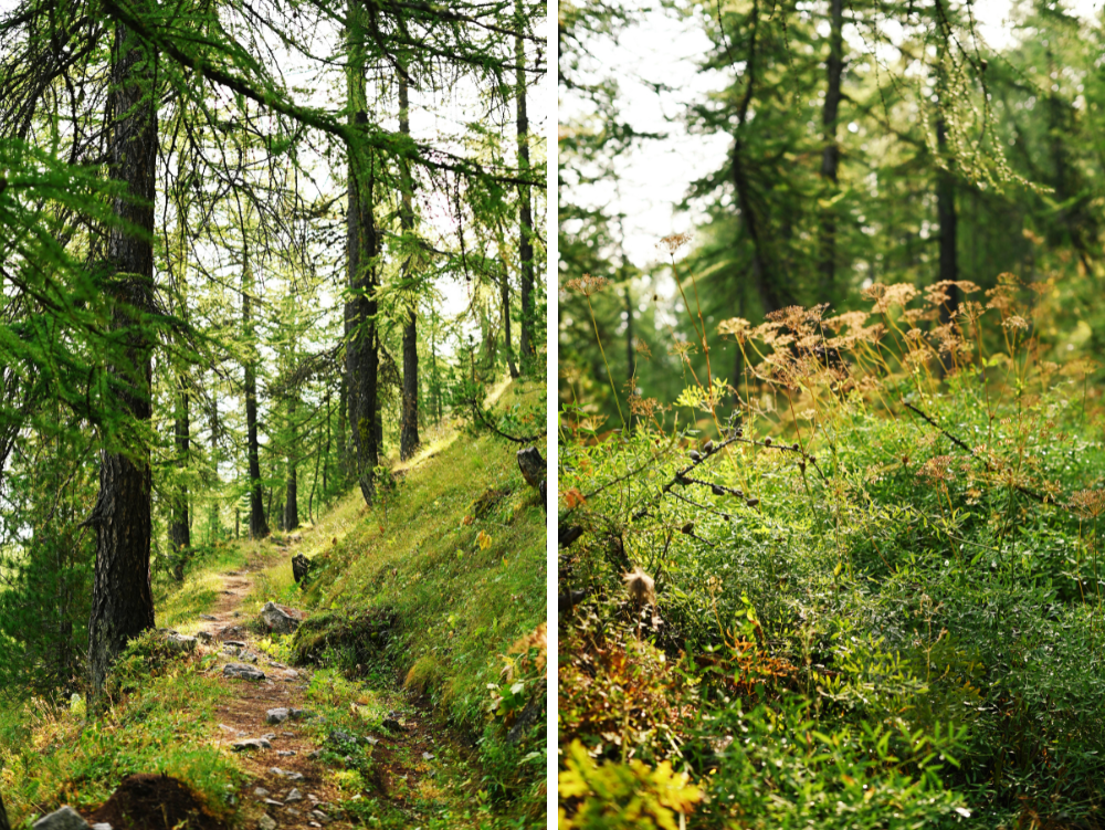 Il Bois de Prarial