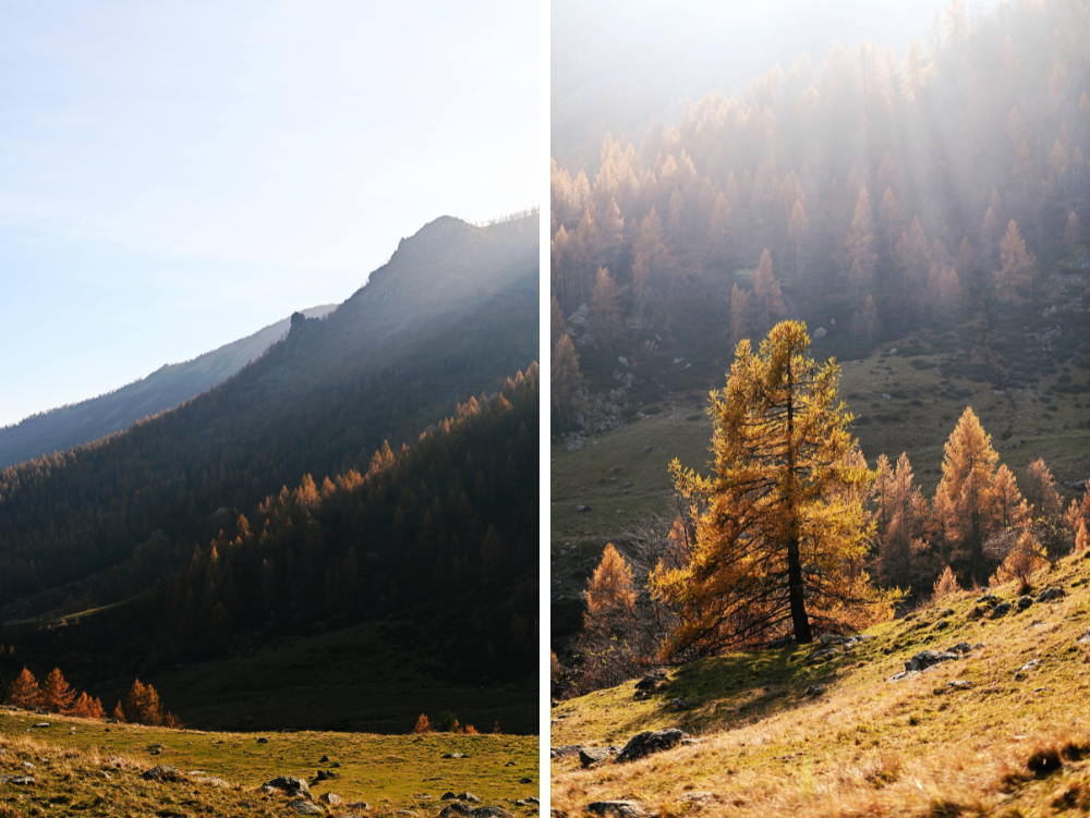 Autunno a Pian Goraj